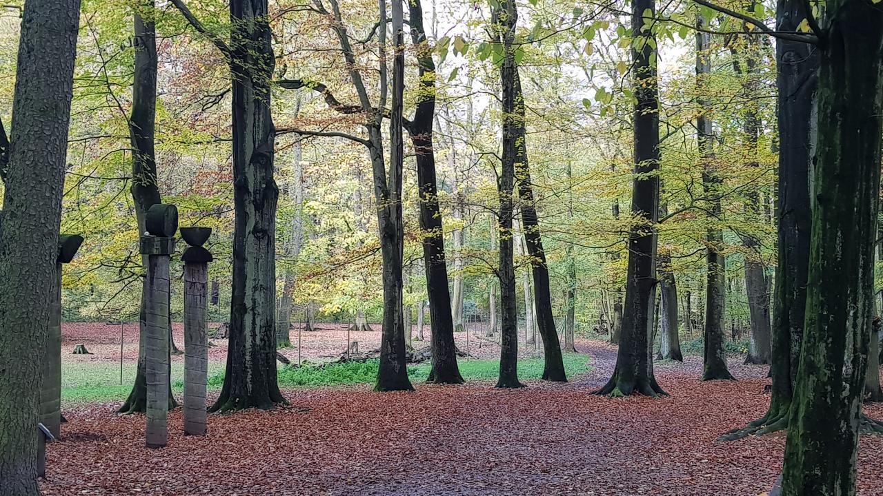 Wald-Hotel Troisdorf Dış mekan fotoğraf